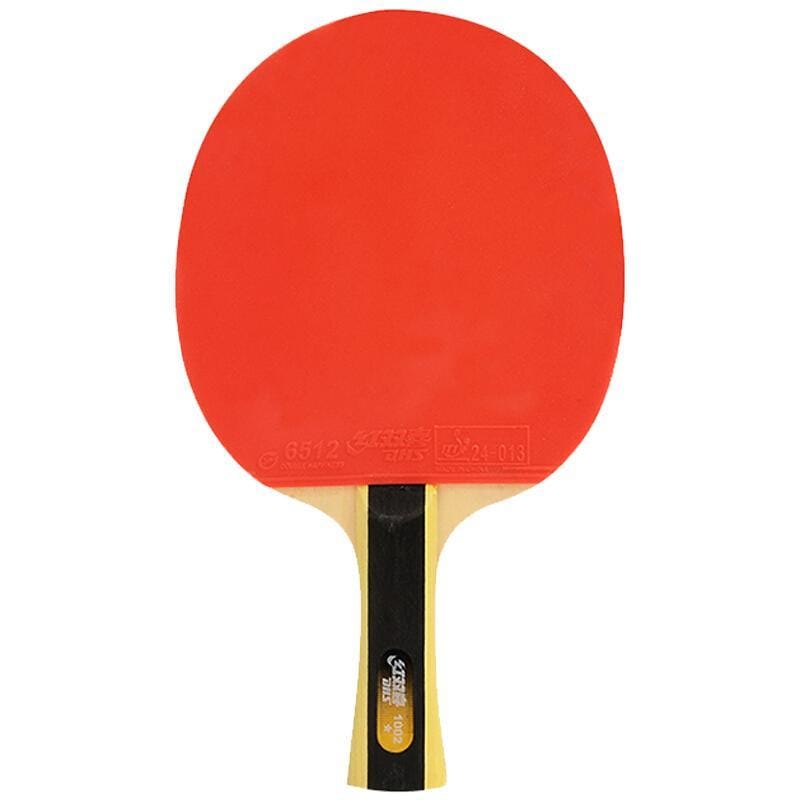 DHS 1 Star T1002 Beginners Table Tennis Bat + Case - Table Tennis Hub