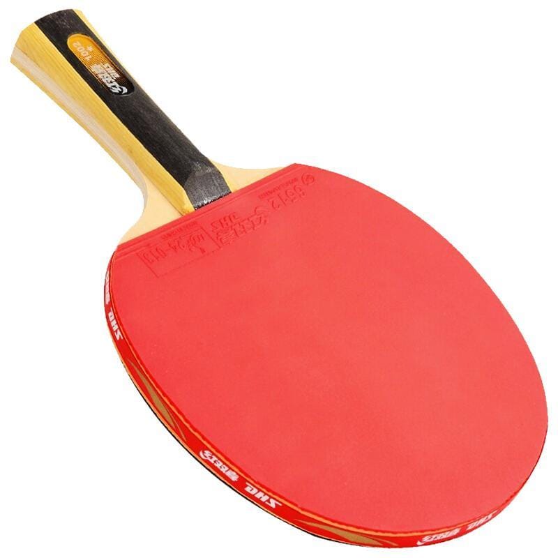 DHS 1 Star T1002 Beginners Table Tennis Bat + Case - Table Tennis Hub