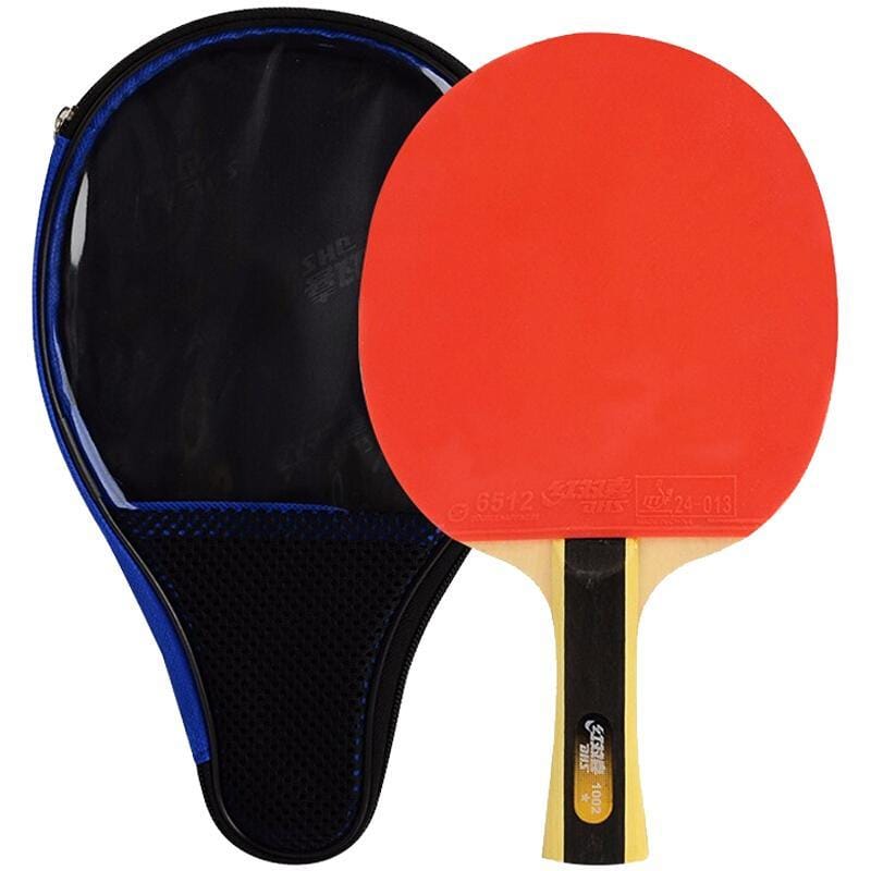 DHS 1 Star T1002 Beginners Table Tennis Bat + Case - Table Tennis Hub