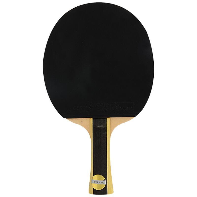 DHS 1 Star T1002 Beginners Table Tennis Bat + Case - Table Tennis Hub