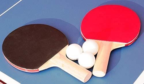BUTTERFLY Compact Indoor 19 Table Tennis Table , Green - Table Tennis Hub