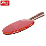 DHS 3-Star Table Tennis Bat Advanced with PF4 Rubbers