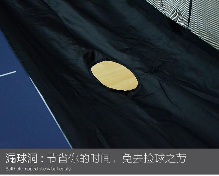 iPONG Original Table Tennis Ball Catch Net - Table Tennis Hub